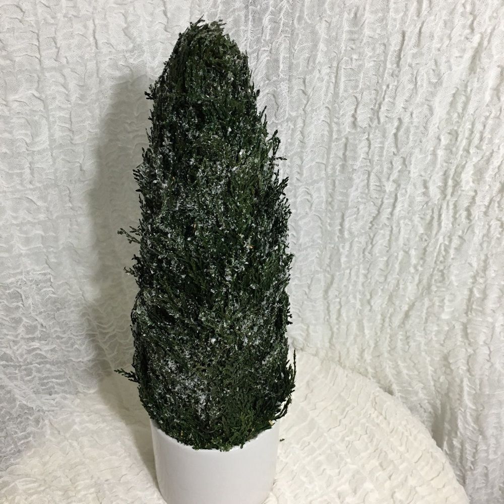 Simple "Christmas " Small Pine Tree Decor Piece - Picture 2 of 6